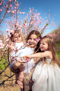 Maternity Shoot hyde park Pictoniq 1327