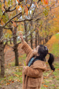 Maternity Shoot hyde park Pictoniq 282